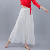 Modern Dance Broadlegged Pants Snowspun Dancing Pants Women Summer Loose Yarn Pants Classical Dance Skills Pants Dancing Skirt Pants Fake two