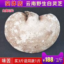 Wild white Ganoderma lucidum Yunnan deep mountain whole natural white Zhi 2-4 500g free slices Buy 3 catty get 1 catty