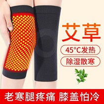 Wormwood knee cover cover warm old cold legs male Women joint paint hot compress autumn old man anti-cold artifact brand high