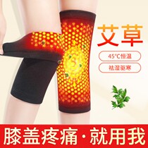 Brand high-end Wormwood knee cover cover warm old cold leg hot compress for men and women paint joint pain autumn and winter anti-cold artifact