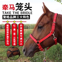 Polyhalamari equestrian dragon sleeve donkey traction horse cage head alloy accessories for teaching Malone headgear tethered to horse gear