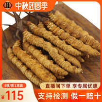 (Baofengtang) Fresh Cordyceps Cordyceps Lyophilized Cordyceps Cordyceps dried 6 grams of single Gram
