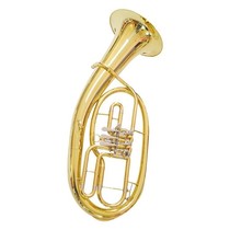Fuzhou professional maintenance wind instruments Saxophone flute clarinet Various brass instruments