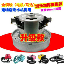 Blue Dolphin Spring Boat God Treasure Delight Leti Pet Blow Water Mechatronics Machine Universal Carbon Brush Motor Original switch accessories