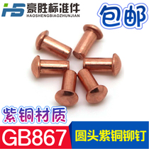  GB867 copper rivet round head solid rivet copper semi-round hair nail Yuan cap copper nail