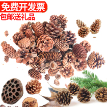 Natural oil pine tower decoration dried flower material Home handmade diy kindergarten hanging pinecone cotton twig acorn