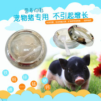 Pet Little Fragrant Pig Mini Pig Trace Elements for Supplementary Trace Elements