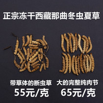 Tibet Naqu Cordyceps Sinensis Qinghai Yushu Natural first stage broken Cordyceps pure meat Festival Gift Box