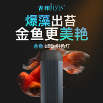 Jiyin DFS- JY goldfish lanshou lamp fish tank burst algae Sun Moss led color enhancement thin light waterproof