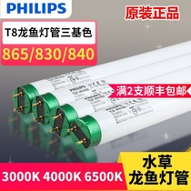 Fish cylinder lamp lighting Philips T8 tube 865 dragon fish lamp 965 hair color 830 aquatic plant fluorescent lamp 36W three primary colors