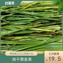 2021 High-quality baked ryegrass hay Guinea pig Dutch pig rabbit grass food Chinchilla forage 500g