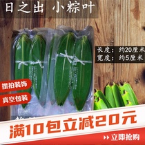 Zong cotyledon 100 slices fresh green bamboo leaves Ruo leaf sushi cooking barbecue decoration small rice dumpling leaves vacuum