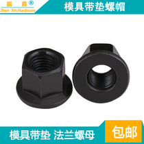 Injection molding machine mold nut with pad nut thick flange M12 M16 M18 M20 M24 M30