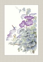 Cross-stitch drawings redrawn source file purple morning glory