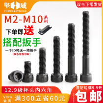 Class 12 9 socket screw M3M4M5M6M8M10 high strength cup head screw screw cylinder head bolt