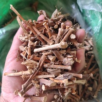 Spring Amomum seed root dry goods authentic Guangdong Yangchun natural sun dried spring Amomum stalk farmers self-drying Sha Ren 250g