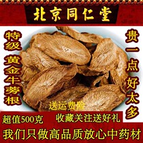 Tongrentang burdock root tea 500g special gold burdock root tea dried cattle pound wild beef tea