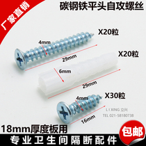 Toilet partition accessories self-tapping screws carbon steel iron expansion screws