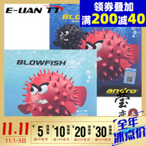 Yinglian andro shore can table tennis rubber positive rubber rubber set rubber BLOWFISH bubble fish poison puffer fish