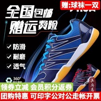 Yinglian STIGA STIGA table tennis shoes mens shoes womens professional breathable non-slip ox sneakers
