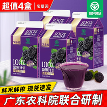 Guangdong Academy of Agricultural Sciences Bao mulberry juice 468ml boxed mulberry juice NFC mulberry juice whole box gift box drink