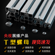 t-nut aluminum profile fittings T-nut block 2020 3030 4040 4545 European standard trapezoidal nut