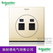Schneider switch socket Aozhi series dual phone computer weak current UD32TD 000 champagne gold panel