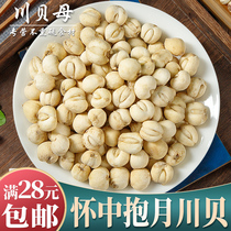 Chuanbeimu Chuanbei dried grains 50g