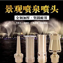 Landscape fountain nozzle Feng Shui pool water feature nozzle Square hemispherical bubbling nozzle Water drop nozzle Fan-shaped flower umbrella
