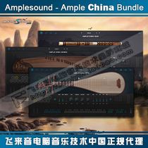 AmpleSound ACDX ACZ ACP ACQD Dong Xiao Qu Di Guzheng Pipa audio source Four-piece package