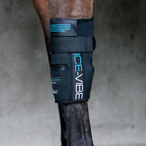 ICE-VIBE horse horse leg guard with ice bag vibration massage to prevent swelling BCL337510