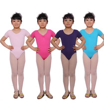 Girls  practice clothes Spring and Autumn childrens gymnastics clothes Long-sleeved dance clothes cotton ballet clothes performance clothes open crotch