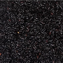 Northeast Jilin black rice grains no dyeing black rice coarse grain farmhouse new rice 500 grams a bag
