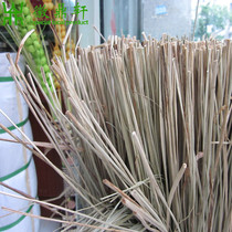 ma lian grass shui cao sheng Dragon Boat Festival zongzi dedicated zongzi rope dry Marion grass brown cord 40 DIY handmade grass