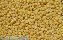 Curry Spice INDIAN FOOD INDIAN FOOD MOONG DAL Meng bean lentil soup one kilogram