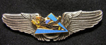 Plated with ancient silver true enamel Air Force Memorial Wing 30 Flying Tigers
