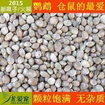 Small hemp seeds Hemp seeds Hemp Renhe Shangjin Sun Xuanfeng Small Sun parrot feed bird food Hamster food 1 catty