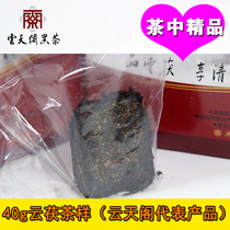 Anhua black tea Hunan boutique Fu tea hand-built first-class golden flower tea brick Yuntian Pavilion Yunfu Tea Sample trial drink
