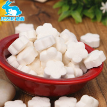 JESSIE calcium sheet rabbit guinea pig hamster dragon cat tonic calcium 10 pieces of clothing