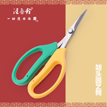 Wang Wuquan Stainless steel grape scissors grape tilting head gardening scissors pruning scissors fruit shop scissors 2108
