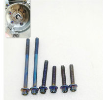 DIO modified box crankcase left and right box screws color screws