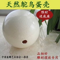 Natural ostrich egg shell oversized dinosaur egg egg camel bird egg carving crafts DIY raw materials