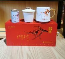 Willing to tea cup and tea jar set Cup