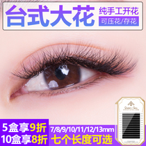 0 07 Desktop large flower planting grafted eyelashes dandelion eyelashes flowering fine soft layer mink hair eyelashes