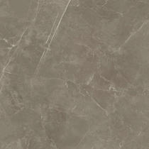 Marco Polo store ceramic tile gold Brown