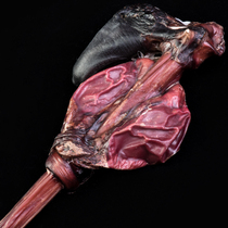 Jilin China 7-Year Plum Blossom Deer Whip with Tail