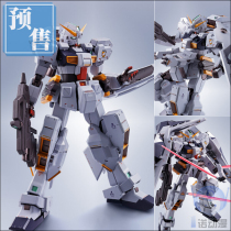 Scheduled Bandai finished product model soul limited METAL ROBOT soul MR soul heizl changed TR-1