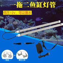 LED24V safety voltage one for two diving large special lights Waterproof family waterproof fish tank Aquatic plants amphibious