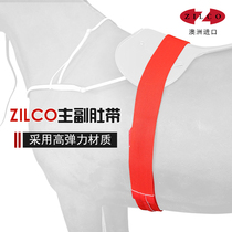 Equestrian zilco speed race belly strap main and auxiliary belly belt horses equipped with eight-foot dragon harness