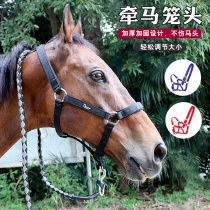 Horse cage head holding horse rope horse rope durable metal hook (adjustable) red black and blue